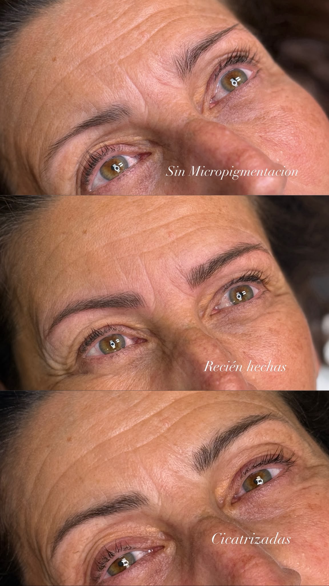 Microblading de cejas antes y después: sin micropigmentación, recién hechas y cicatrizadas